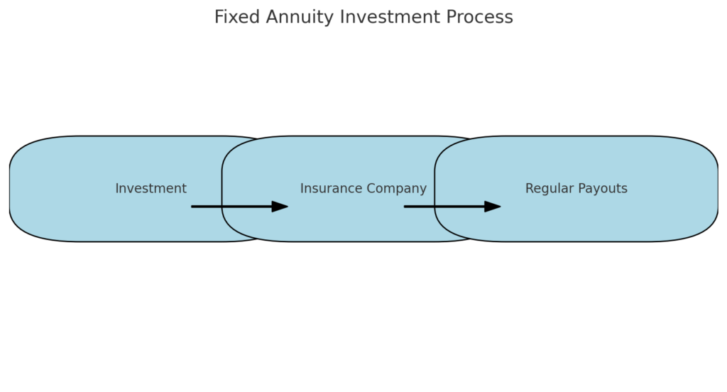 5 Safe Investment Options for Risk-Averse Investors 